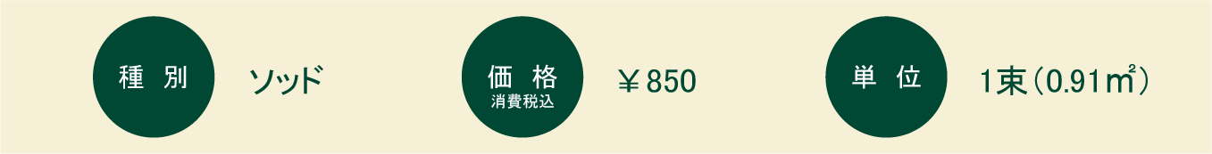 野芝（ノシバ）：概要